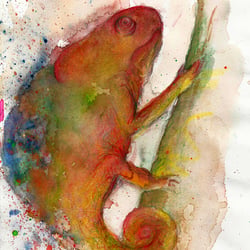 Chameleon II