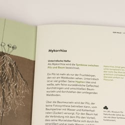Begleitheft „Der Wald“ – Layout