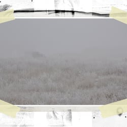 24page