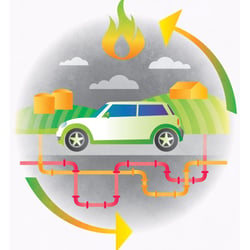 Impactmedia Mobilitat Ergas