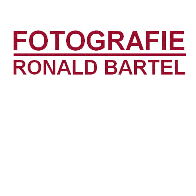Ronald Bartel