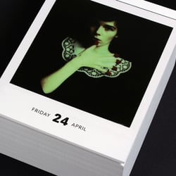 Poladarium 2015