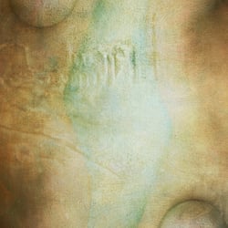 - symbiose -