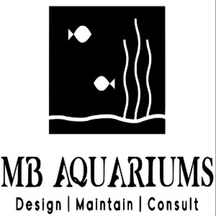 Mb Aquariums