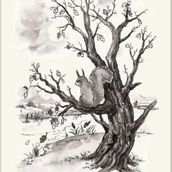 Kapitel 6 – Natur
