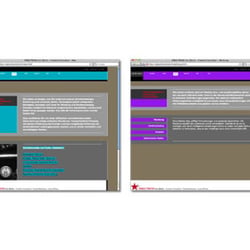 directrend-website-konzept-und-design-programmierung-bei-freelancer-lauper