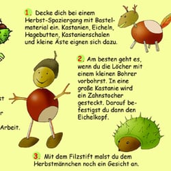 bild12