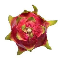 Pitahaya