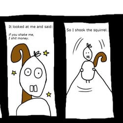 Squirrel