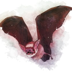 Fledermaus