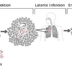 Illustration Medizin