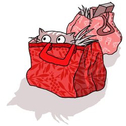 aus CAT SECRETS – besser leben à la Katz