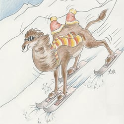 Ski-Kamel klein web