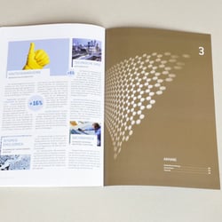 Geschäftsberichte – Chemische Industrie Österreich – 2011/12
