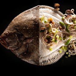 Ganzer Fisch: Steinbutt