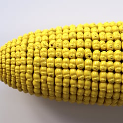 Children of the Corn