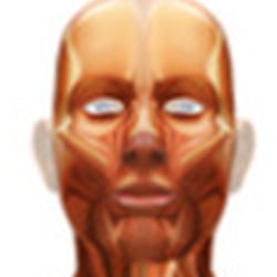 Muscular System—Serie GPS Ciencias Naturales (Editorial Grupo Macmillan – Argentina 2013)