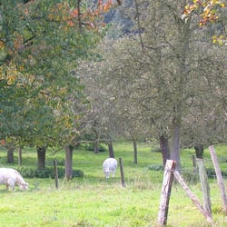 Domänengärten