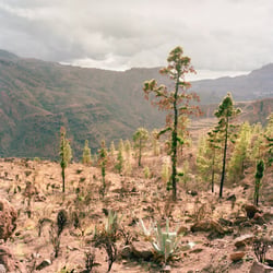 Gran Canaria