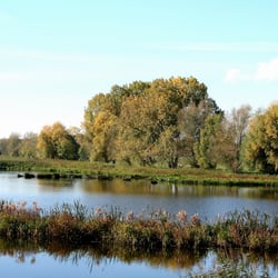 Zwischen Klein Ilsede und Hanndort 8