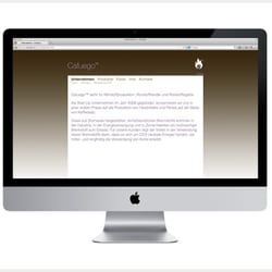 Website Gestaltung – Cafuego, Schweiz