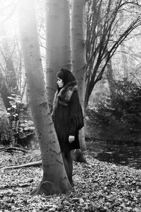 Deep In The Woods