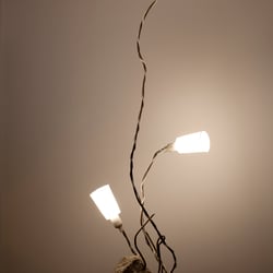 „Muggenhofer 03A“