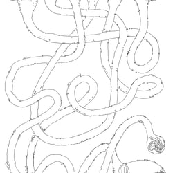 Labyrinth Maulwurf