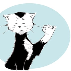 Feinsinniger Kater