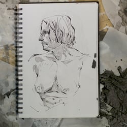 DSC 1113