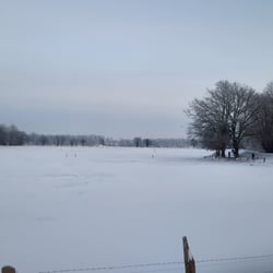 Winter in Bremen