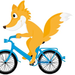 Fuchs auf Fahrrad