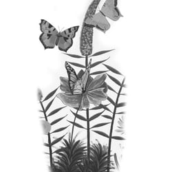 Schmetterlinge