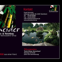 Schneider Koi