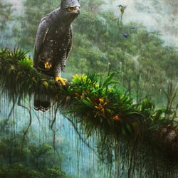 Wildlife