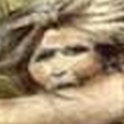 Geolino extra, Der Neandertaler