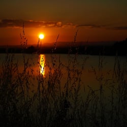 Sonnenuntergang über Etang du Grec in Palavas les Flots