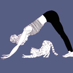 Cat Yoga