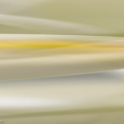 Lichtbild (37 von 40)