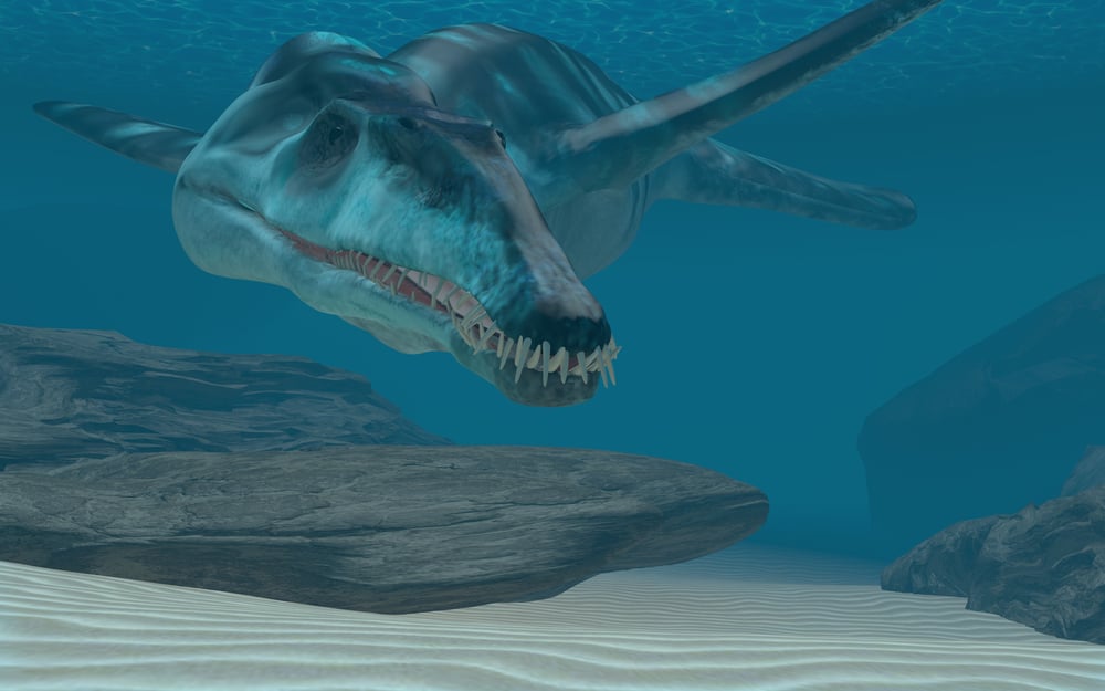 Liopleurodon Ferox