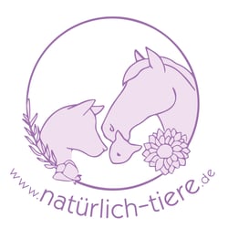 Logo THP Schloermann