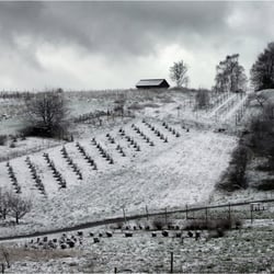 Winter überall 2220k