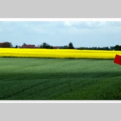 Fotografie-Natur