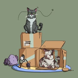 Cats