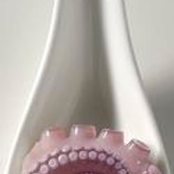 pulpo