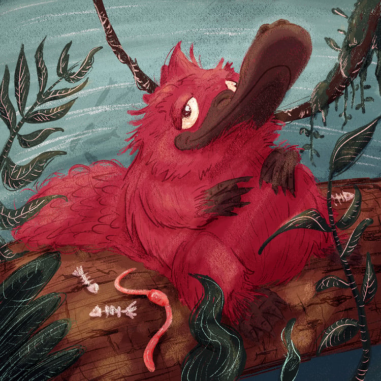 Kinderbuch Illu Rundes Rotes Schnabeltier