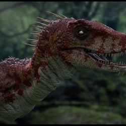 Raptor