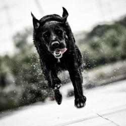 Run