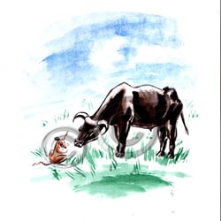 Illustration