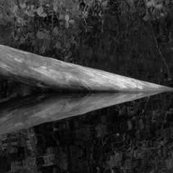 Log